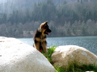 de l'Huselberg - photos des Bébés Canelle / Crios